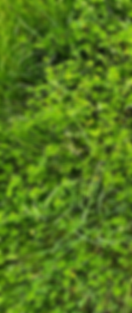 S5A2 HYPNOSE THÉRAPEUTIQUE.png