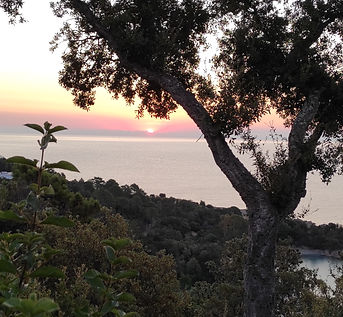 Corse du Sud Reiki et Sonothérapie
