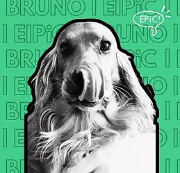 Bruno from Eipic Removals