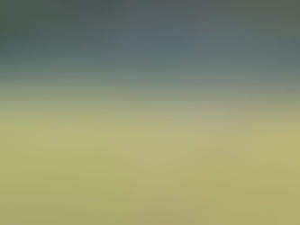 KU Soccer - Brie Severns Goal