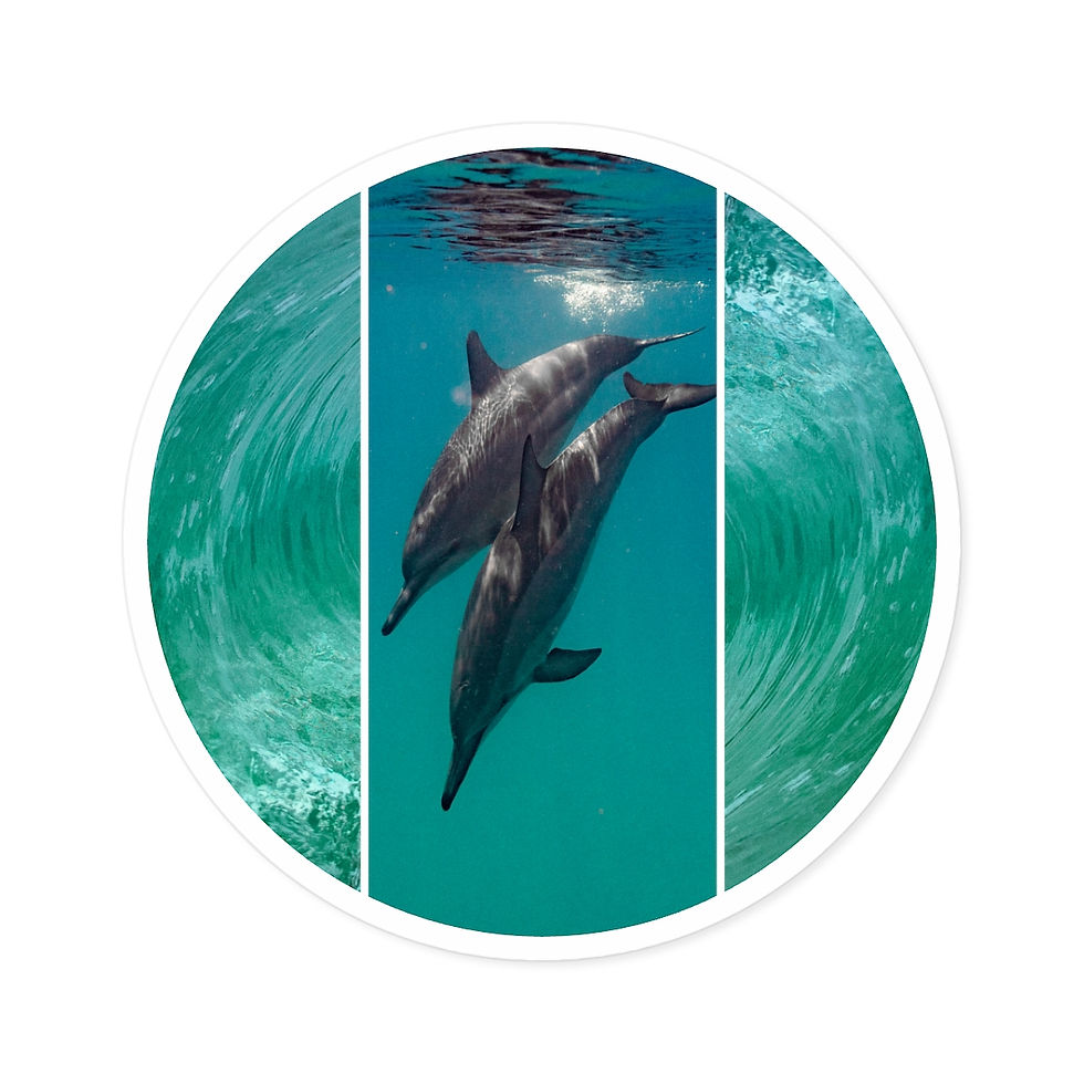 Thumbnail: Dolphin Dive Sticker