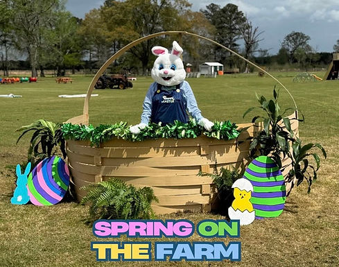 Spring on the Farm.jpg