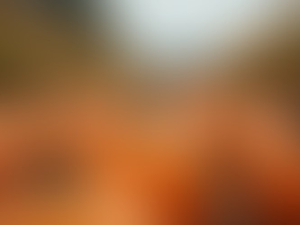 Online Ticket Sales for Seasonal Farm Events