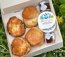 Afternoon tea Brighton Hove Worthing