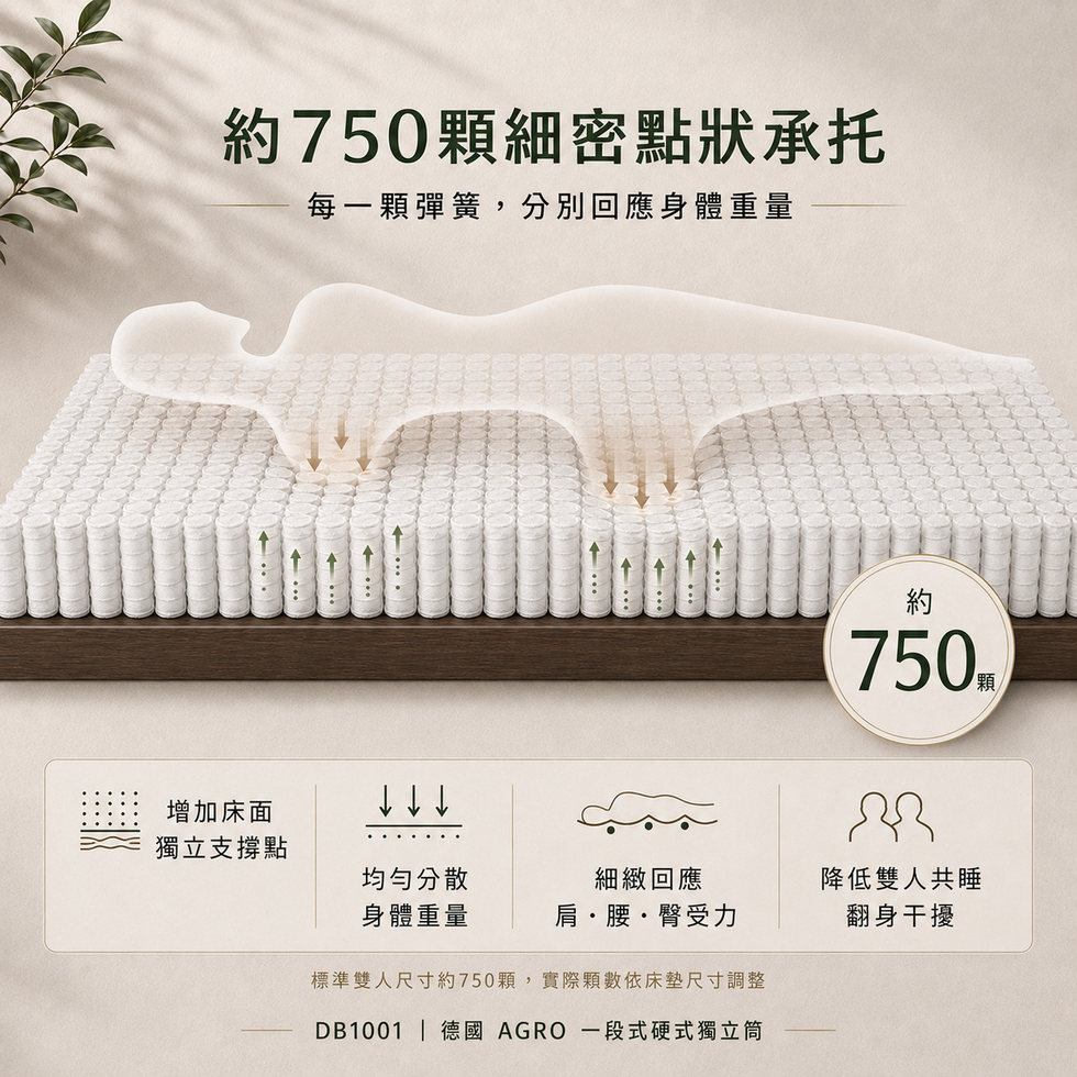DB1001 德國 AGRO 硬式獨立筒床墊介紹5