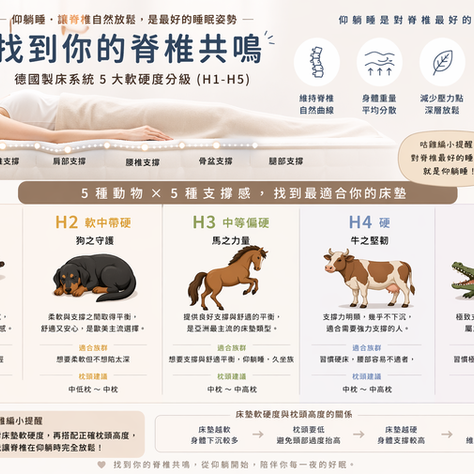 床墊軟硬怎麼選？從仰躺睡開始，找到你的脊椎共鳴