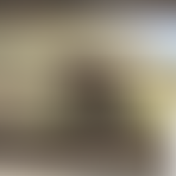 The Moai of Rapa Nui: Curating Absence, Ancestry, and Agency