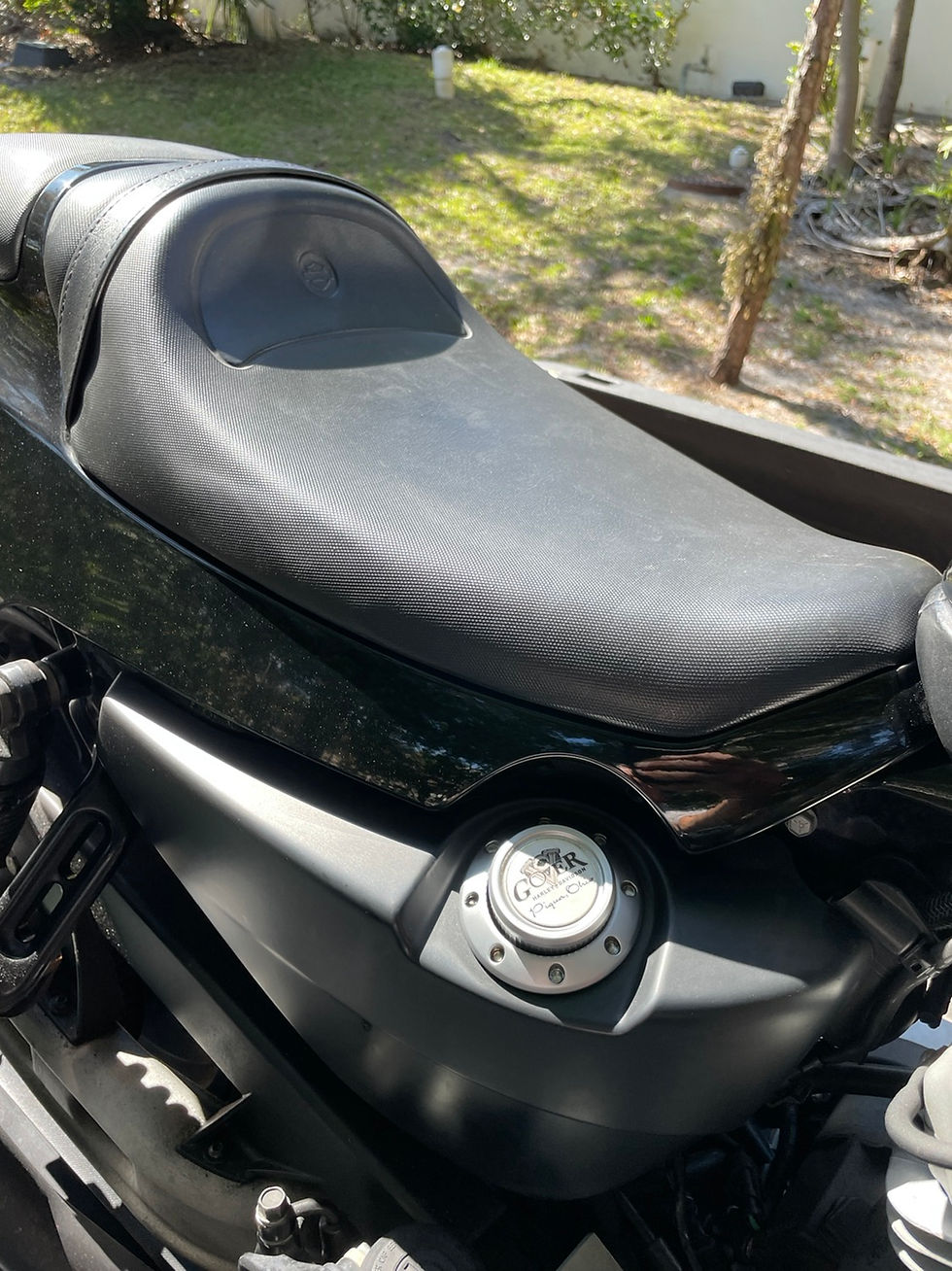 Thumbnail: 2009 Harley Davidson XR1200