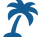 Palm tree icon representing Tamarindo beach location