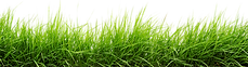 595be0858468115d0ee509a6.png