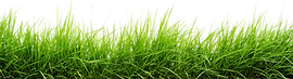 595be0858468115d0ee509a6.png