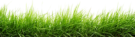 595be0858468115d0ee509a6.png