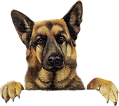 638924_e2984.png