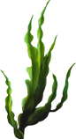 0_12ddfe_85c4242b_orig.png