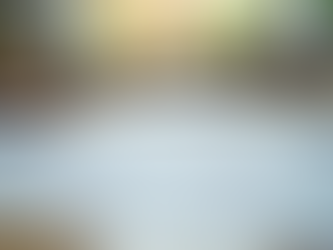 Secrets to Successful Home Renovations in Vancouver: Successful Renovation Strategies