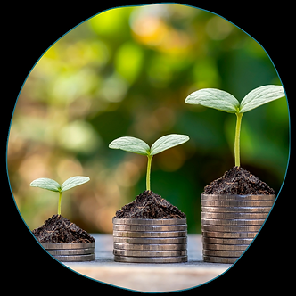 Business Tax Credits