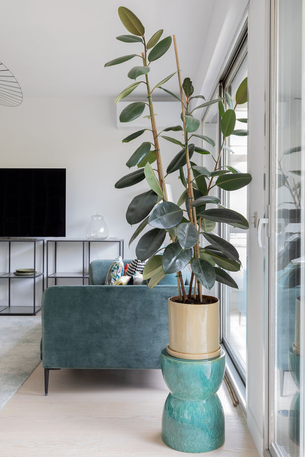 ACP - Victor Hugo_salon