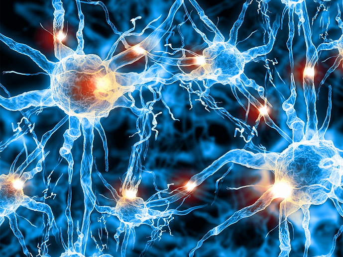 Verita-Neuro-Blog-Image-1-Using-Exosome-Therapy-As-Treatment-For-Spinal-Cord-Injury-1024x7