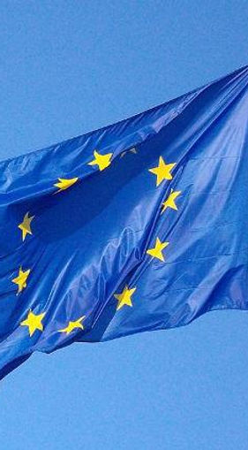 steag-ue.jpg