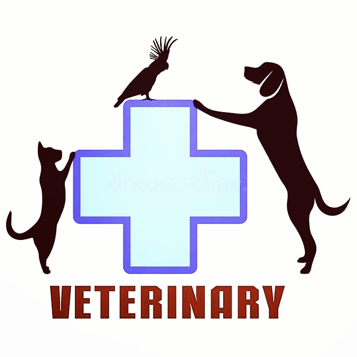 Foto del escritor: VetCurePet's