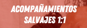 imagen_2026-05-12_105733172.png