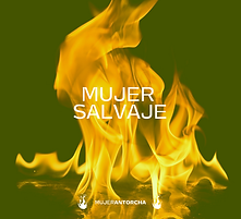 FEEDANTORCHA25 (1).png