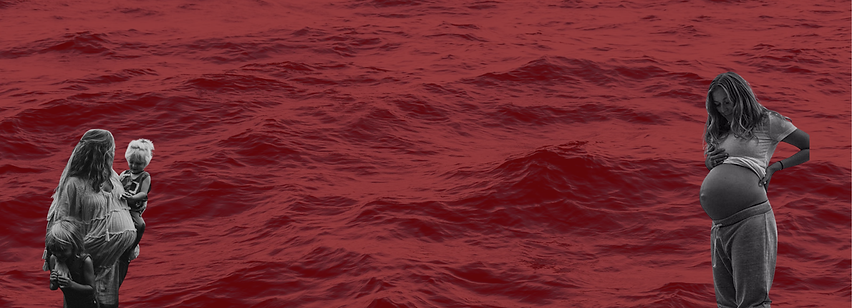 Doula Gestacion y Parto (1).png