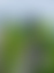 Trois nouveaux habitant(e)s à la Ferme!