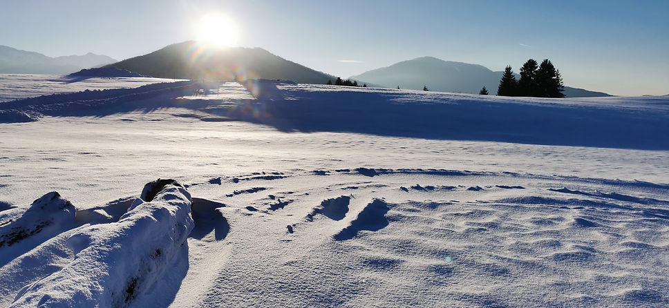 SeinzSchneelandschaft.jpg