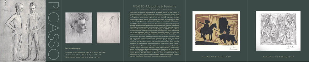 Picasso 1_26 DLM - side 2.jpg