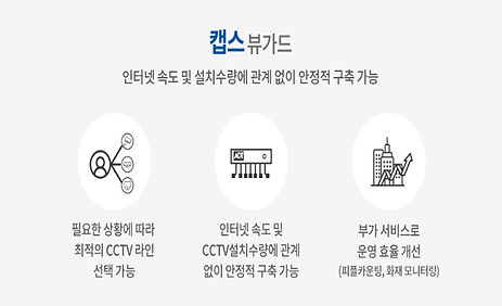 캡스 뷰가드.jpg