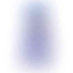 White and silver Senior LD Bell Drill Team homecoming mum 