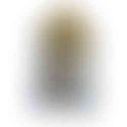 Custom white and silver LD Bell Senior Quad homecoming mum 