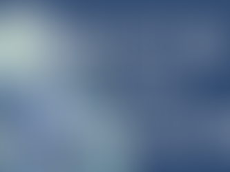 L.D. Bell High School Homecoming Mums