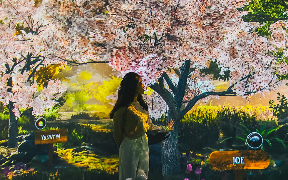 Occitane  Hotel POP-UP-2