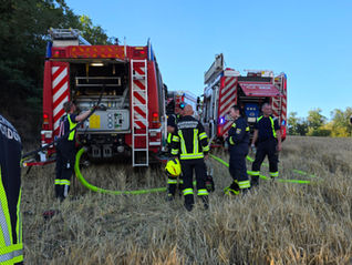 B4-Vegetationsbrand in Schattenbruck