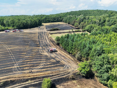 Vegetationsbrand in Albrechtsberg