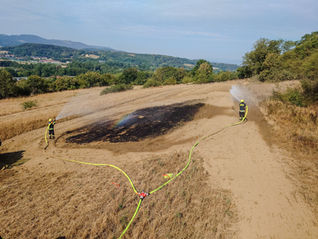 Vegetationsbrand bei Albrechtsberg rasch eingedämmt