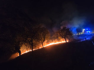 Nächtlicher Vegetationsbrand bei Neuhofen