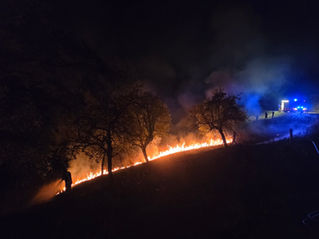 Nächtlicher Vegetationsbrand bei Neuhofen