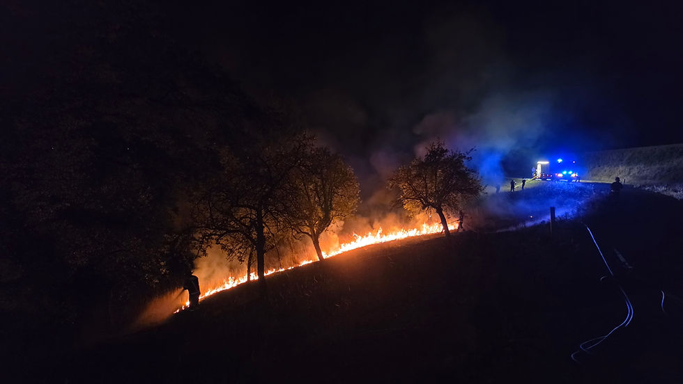 Nächtlicher Vegetationsbrand bei Neuhofen