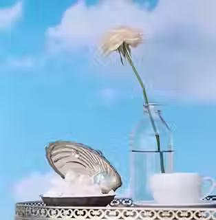 White Rose_edited.avif