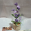 Thumbnail: Purple Forget Me Not Potted