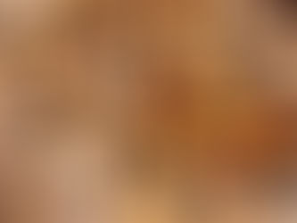 Selectie van Houtsoorten voor de Perfecte Smaak: De Geheime Ingrediënt van PizzaNation's Succes