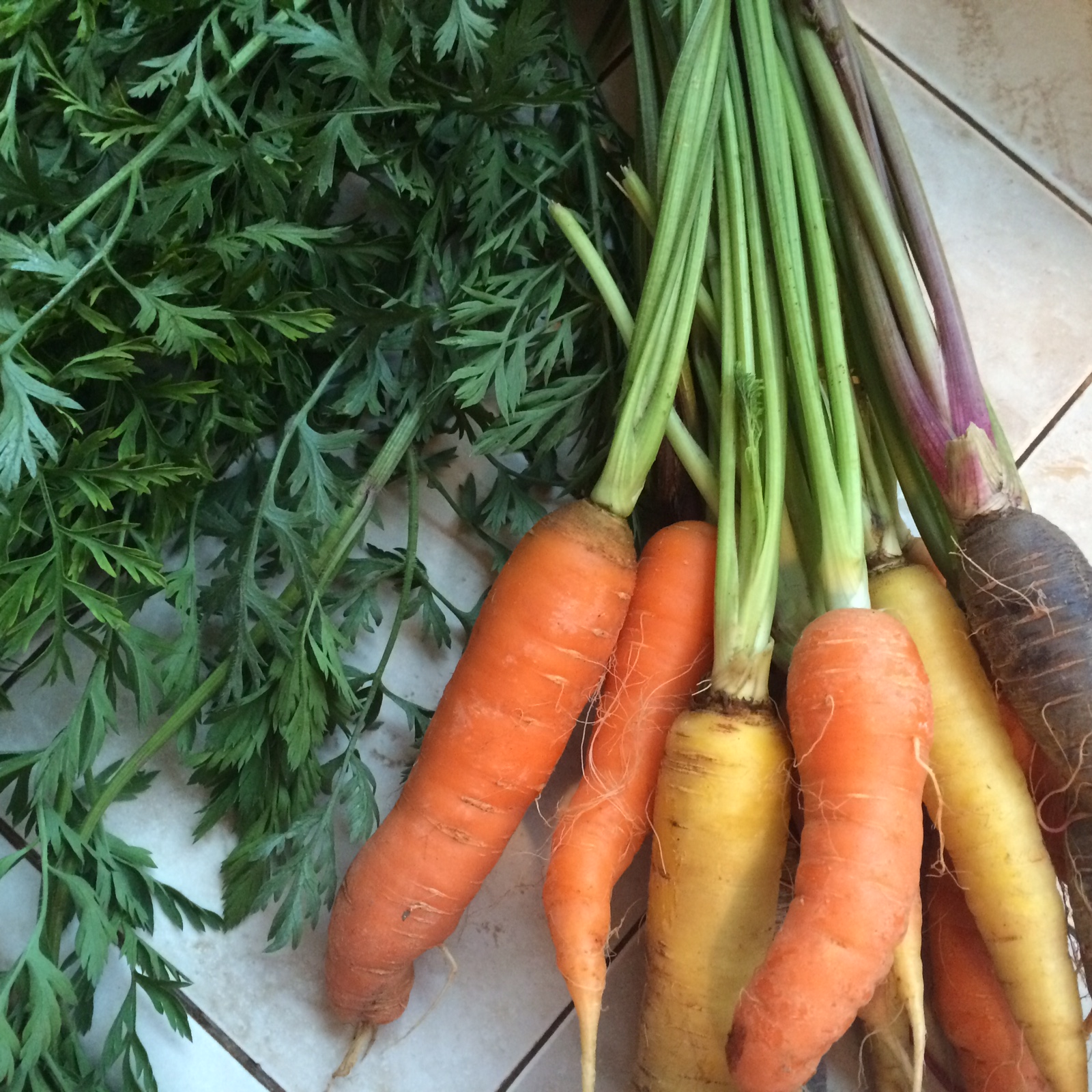 Farm to Table