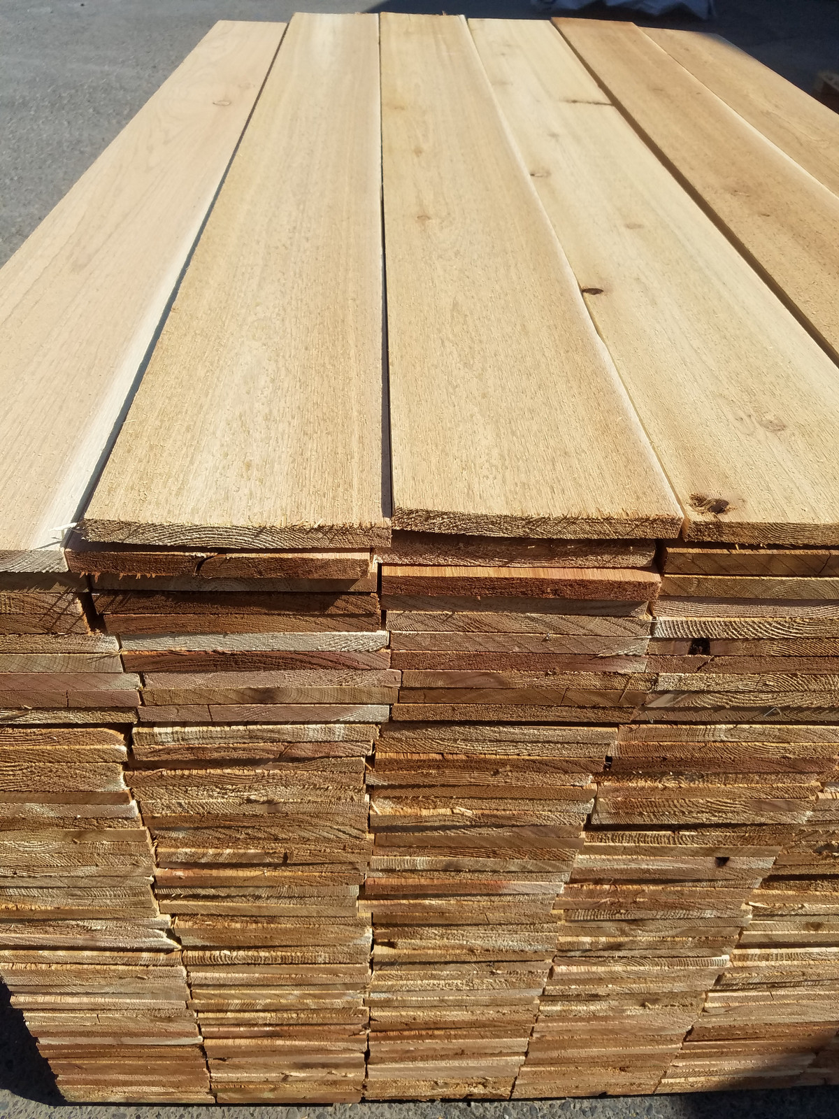 HOME | billboard lumber company | Riddle, OR Survey lath and hubs and ...