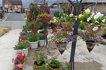 DSC00644.jpg