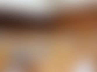 2025年1月24日(金) 1月臨時会 本会議:質疑