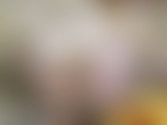 3月11日(木)予算審査委員会:文教市民福祉分科会