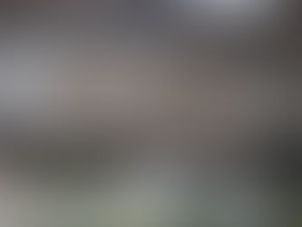 12月20日(月)文教市民福祉委員会 出席